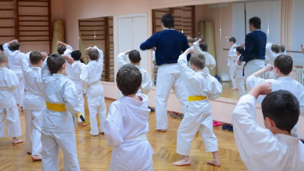 karate training for kids, what age can kids start karate