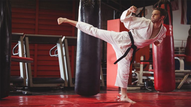 4 Best Karate Schools in The World (2022)