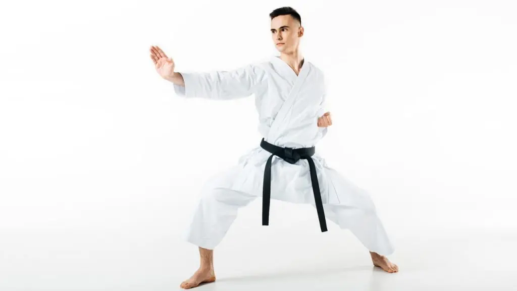 learn karate at home