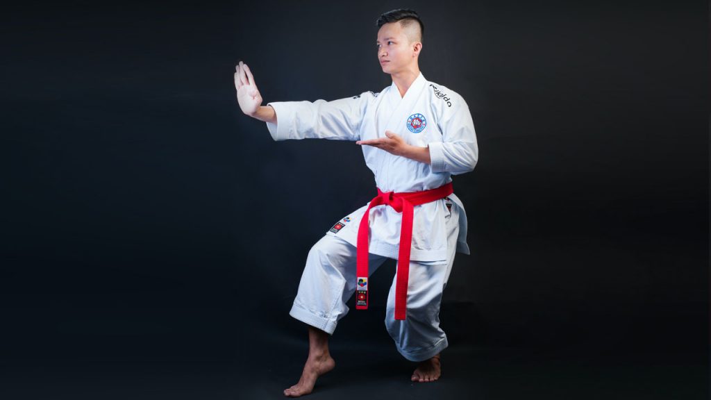 14 Basic Karate Stances Help You Build a Strong Base