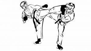 karate rules