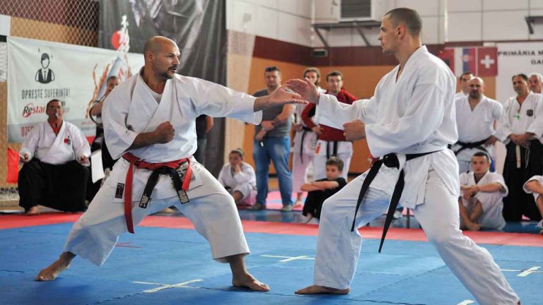 Full Contact Karate All You Need to Know - The Karate Blog