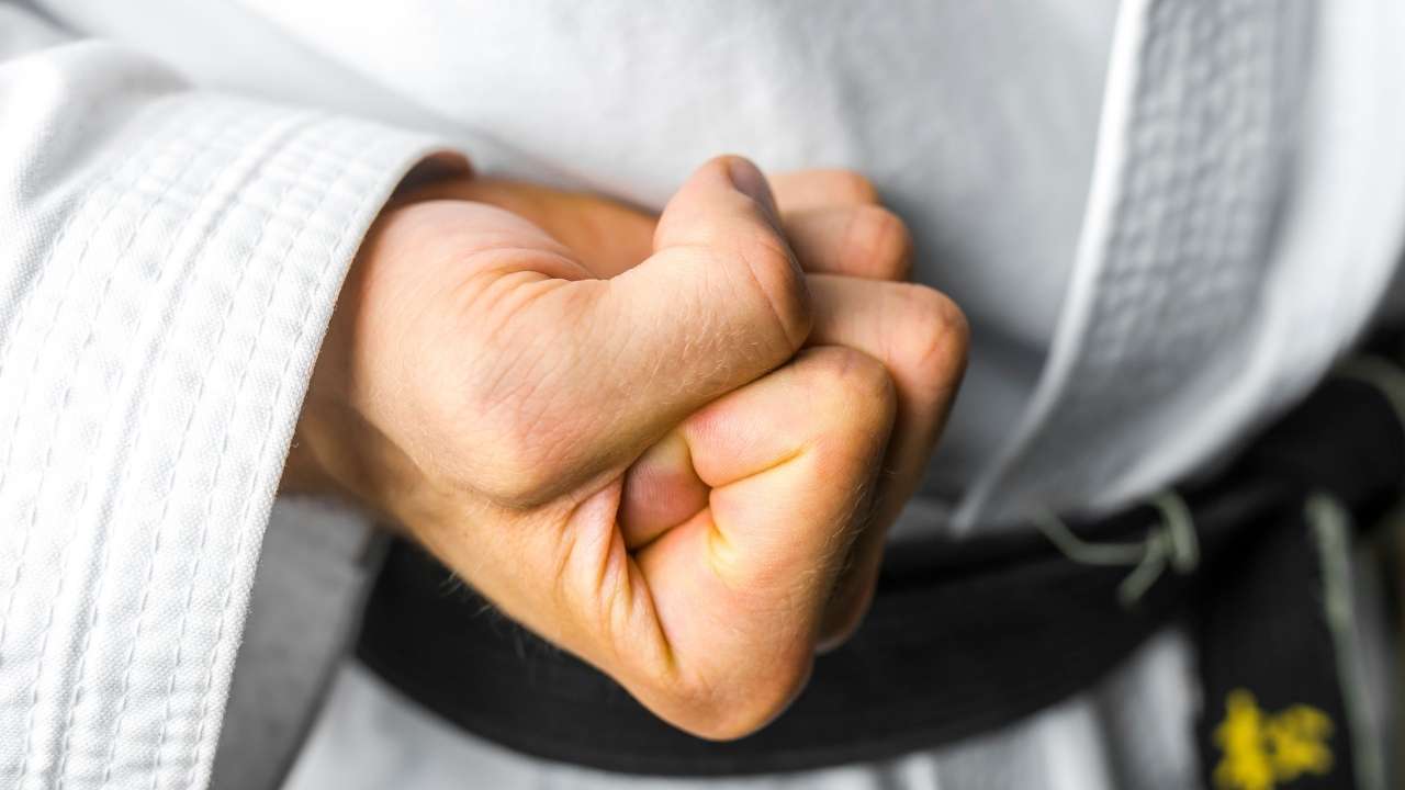 The Twenty Guiding Principles Of Karate - Niju Kun