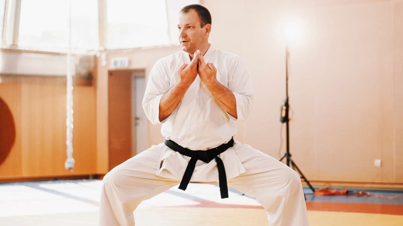 karate styles