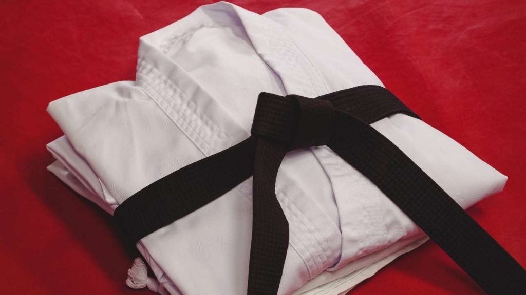 Gi, karate uniform, karate gi, karate outfit, karategi