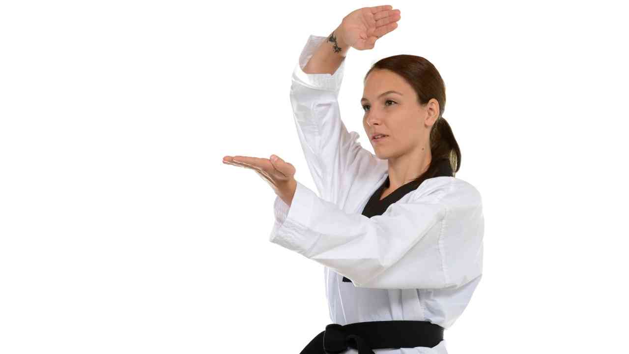Taekwondo Schools
