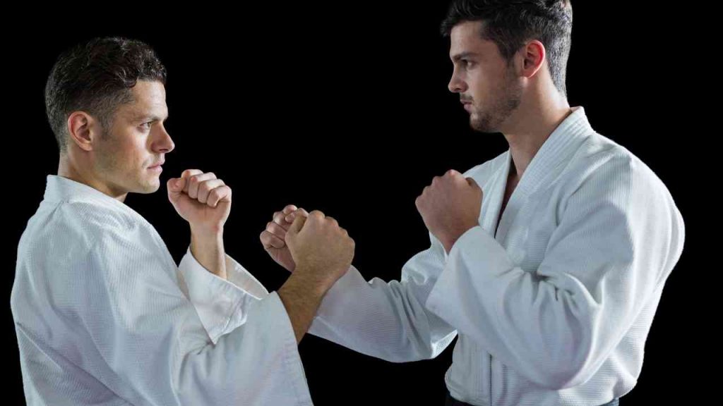 Shorin Ryu Karate, Shorin-Ryu Karate