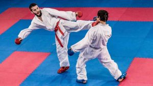 Olympic martial arts