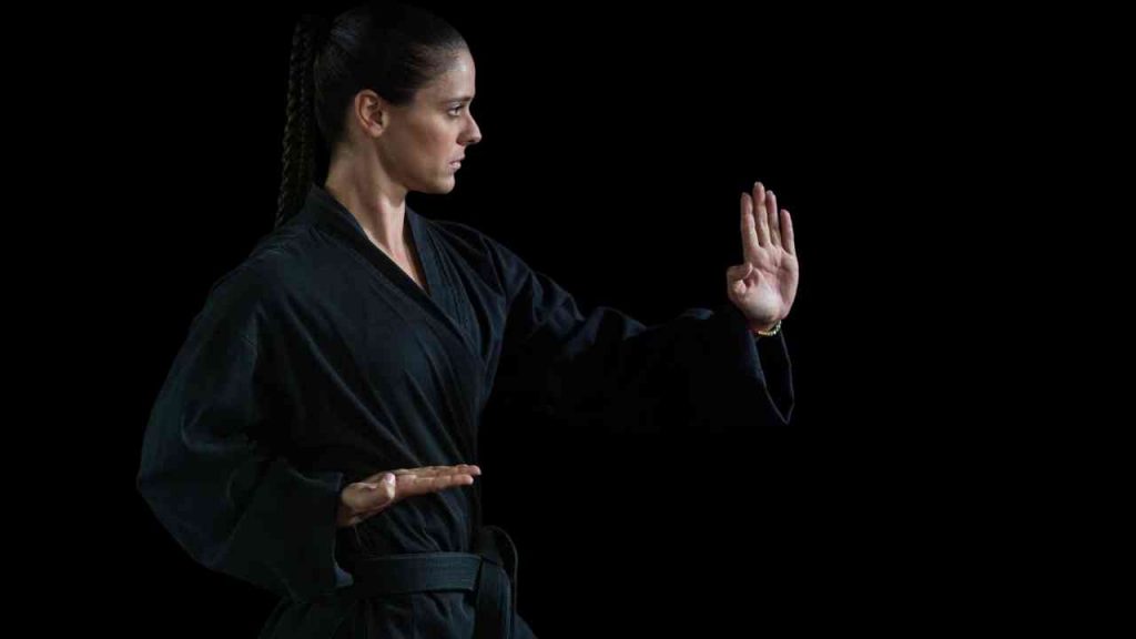 The Kata and Bunkai of Goju-Ryu Karate The Essence of the Heishu and Kaishu Kata 