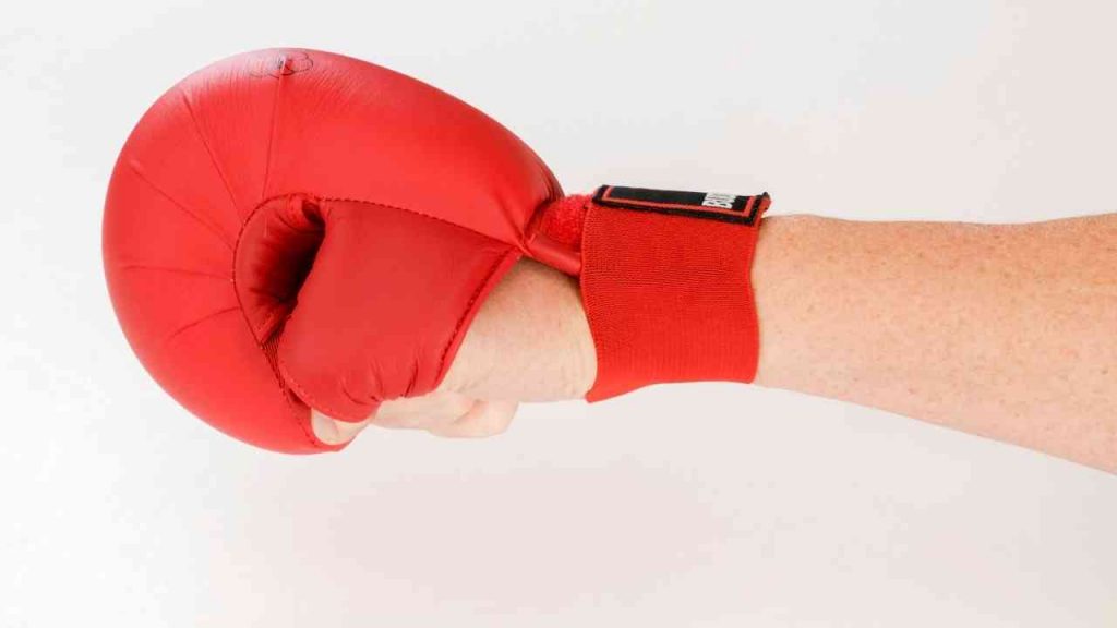 karate sparring gloves