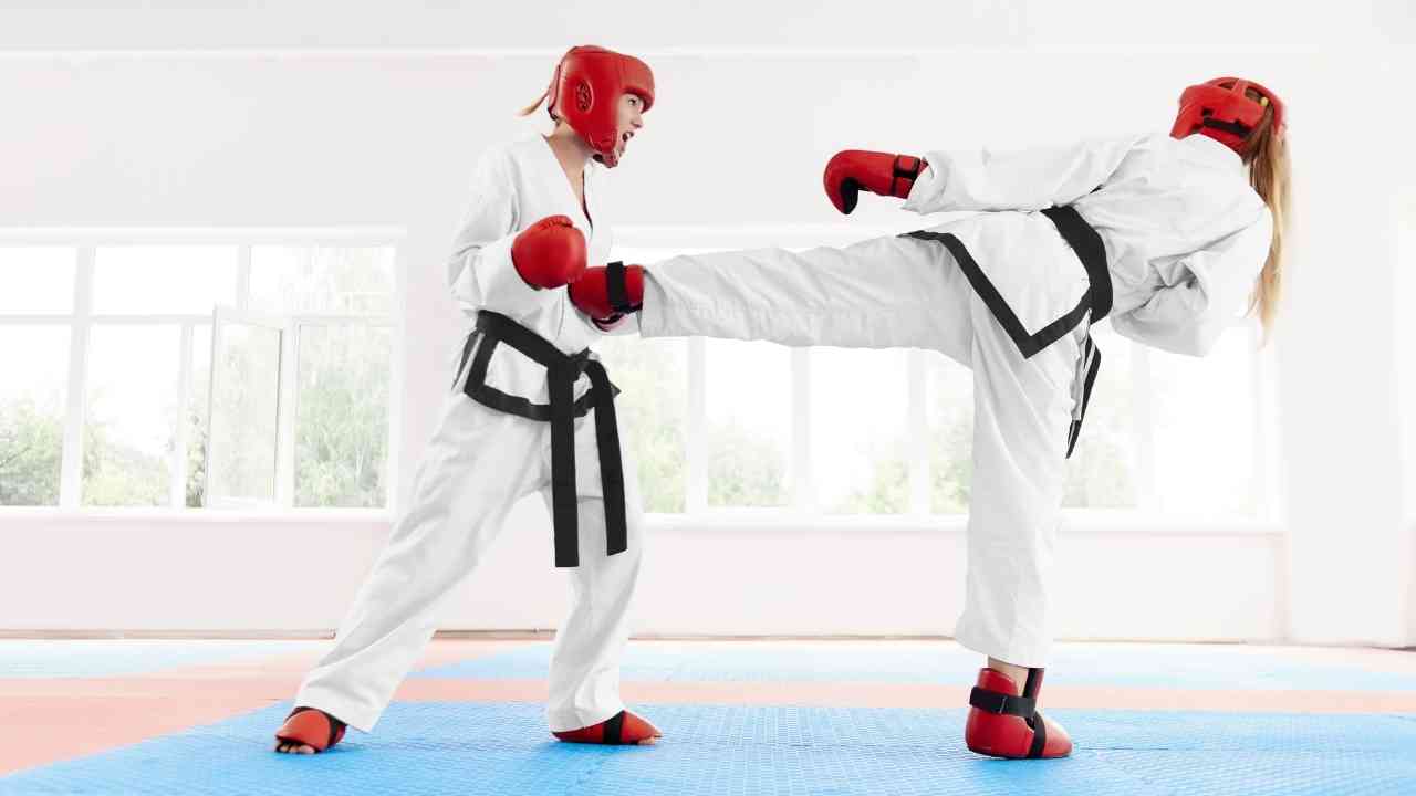 Proforce Sparring Gear Foot Pads Martial Arts Karate Taekwondo Feet Guards  Pair 