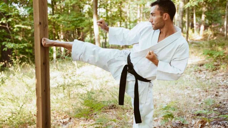 Okinawan Karate: The Heart Of Martial Arts