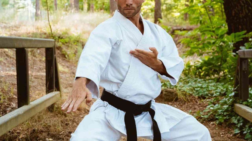 10 Karate (Uniform) Reviewed in 2023 | Buying Guide